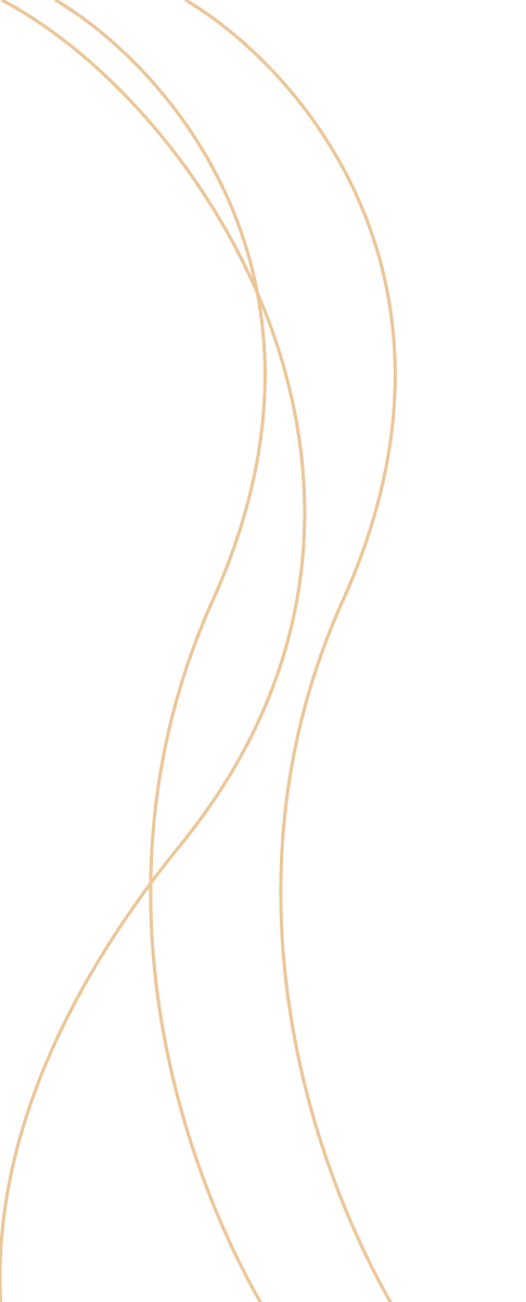 lines